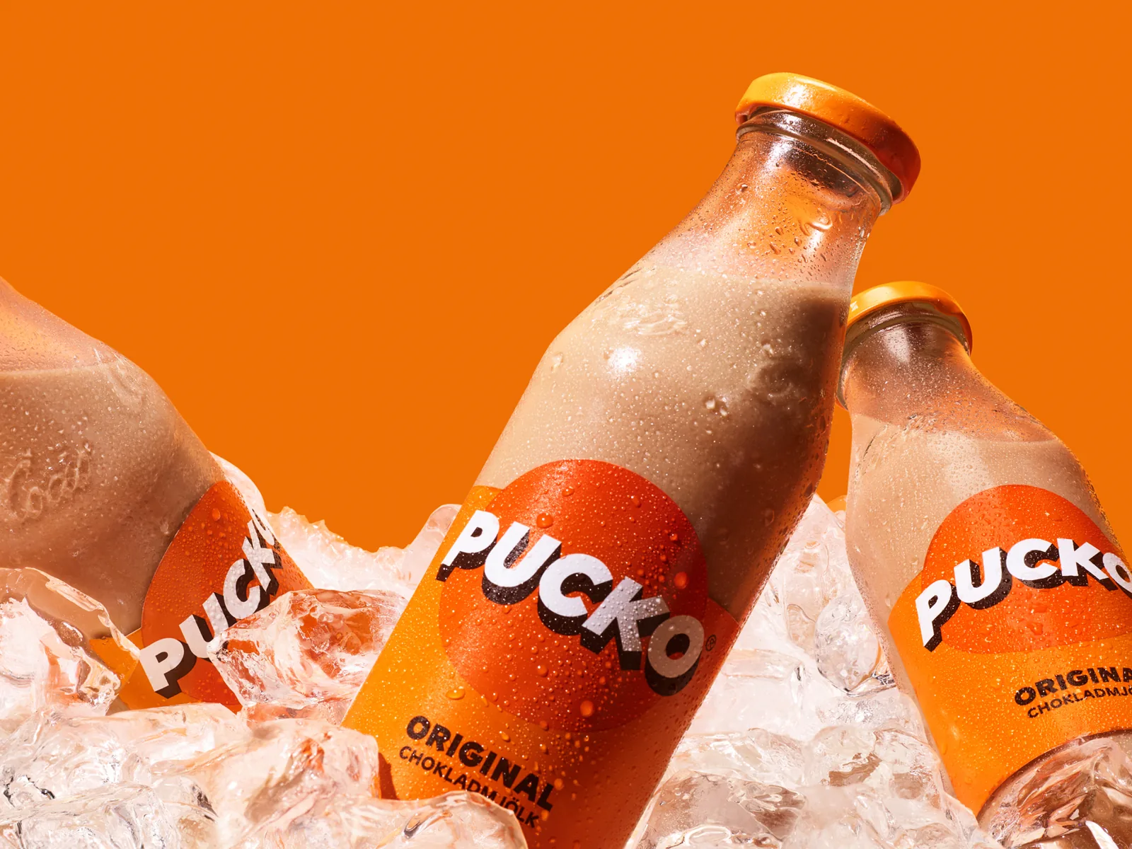 Pucko 2