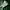 Sse 15