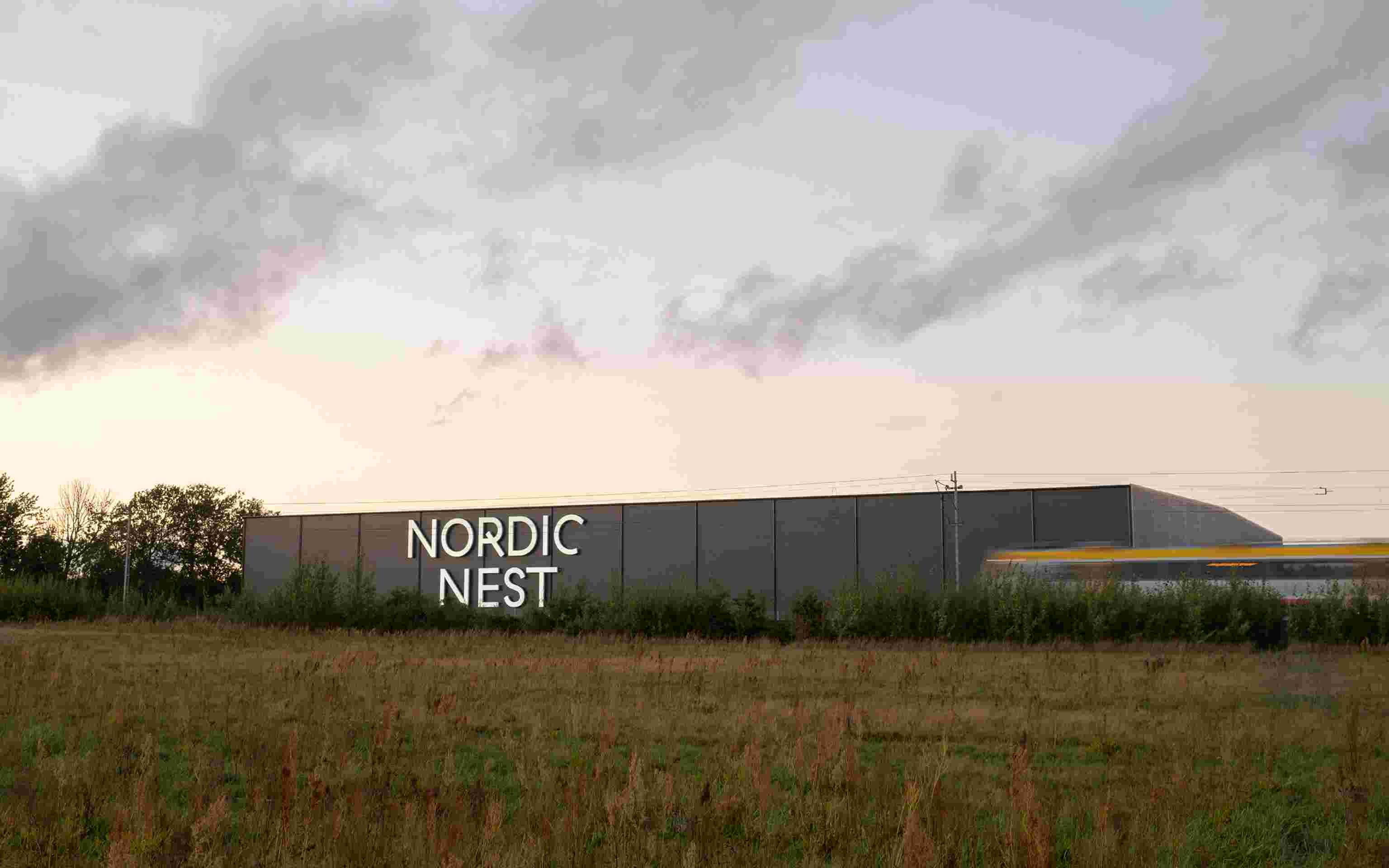 Nordic Nest 8